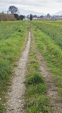 8620427910 2b253bf015 b