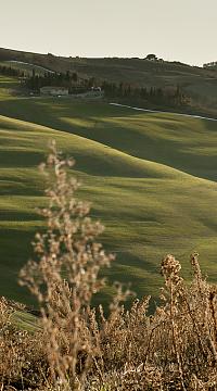 6961293113 bae8b60ecc b